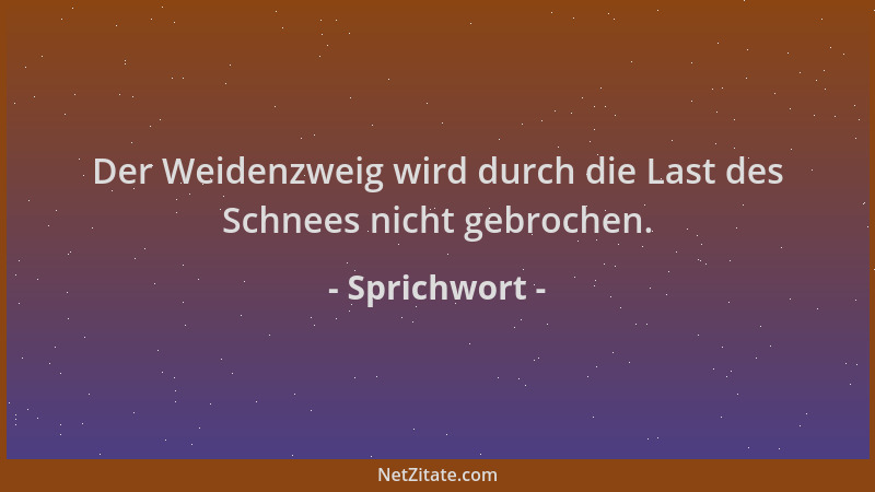 Sprichwort - Der Weidenzweig wird durch die Last des Schnees nicht gebrochen....