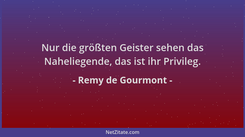 Remy de Gourmont - Nur die größten Geister sehen das Naheliegende, das ist ihr Privileg....