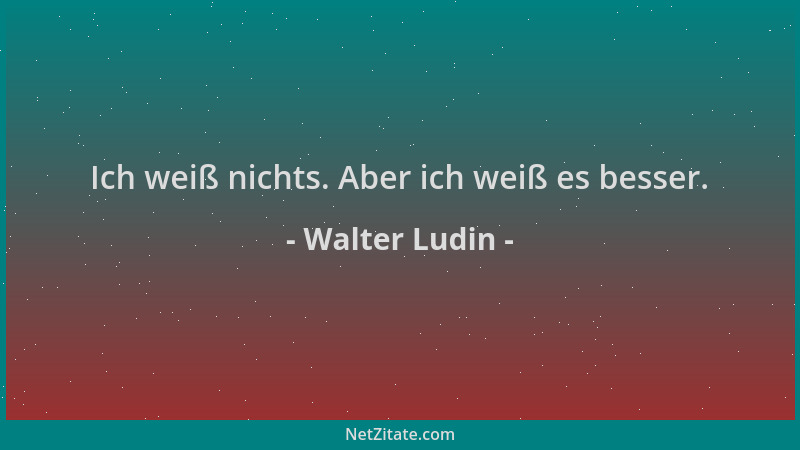 Walter Ludin - Ich weiß nichts. Aber ich weiß es besser....