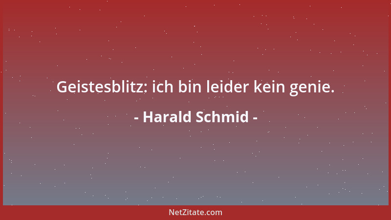 Harald Schmid - Geistesblitz: ich bin leider kein genie....