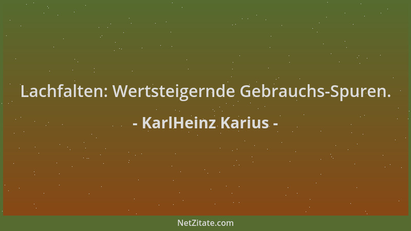 KarlHeinz Karius - Lachfalten: Wertsteigernde Gebrauchs-Spuren....