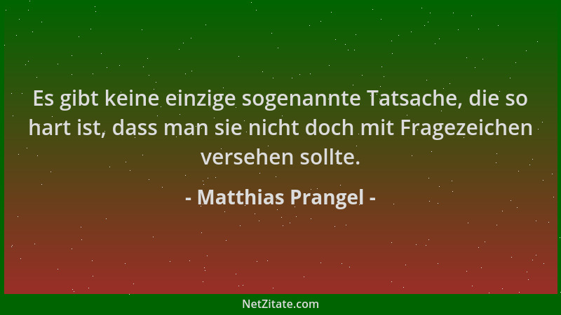 Matthias Prangel - Es gibt keine einzige sogenannte Tatsache, die so hart ist, dass man sie nicht doch mit Fragezeichen ver...