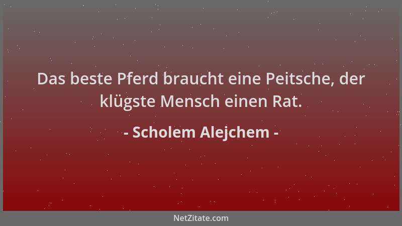 Scholem Alejchem - Das beste Pferd braucht eine Peitsche, der klügste Mensch einen Rat....