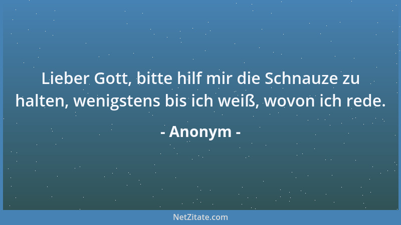 Anonym - Lieber Gott, bitte hilf mir die Schnauze zu halten, wenigstens bis ich weiß, wovon ich rede....