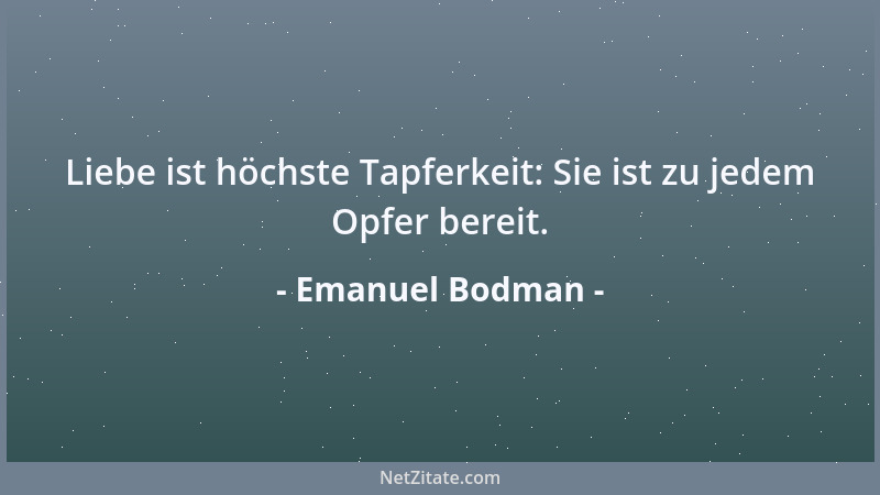 Emanuel Bodman - Man muss viel übersehen, um schauen zu können....