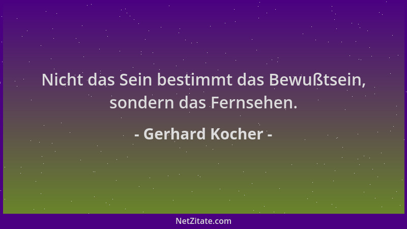 Gerhard Kocher - Nicht das Sein bestimmt das Bewußtsein, sondern das Fernsehen....