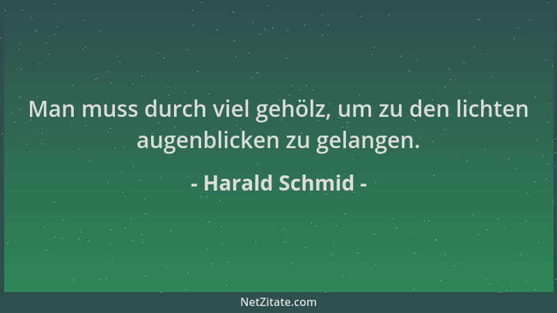 Harald Schmid - Man muss durch viel gehölz, um zu den lichten augenblicken zu gelangen....
