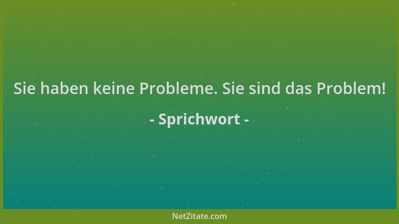 Sprichwort - Sie haben keine Probleme. Sie sind das Problem!...