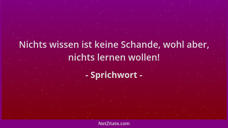 Sprichwort - Nichts wissen ist keine Schande, wohl aber, nichts lernen wollen!...