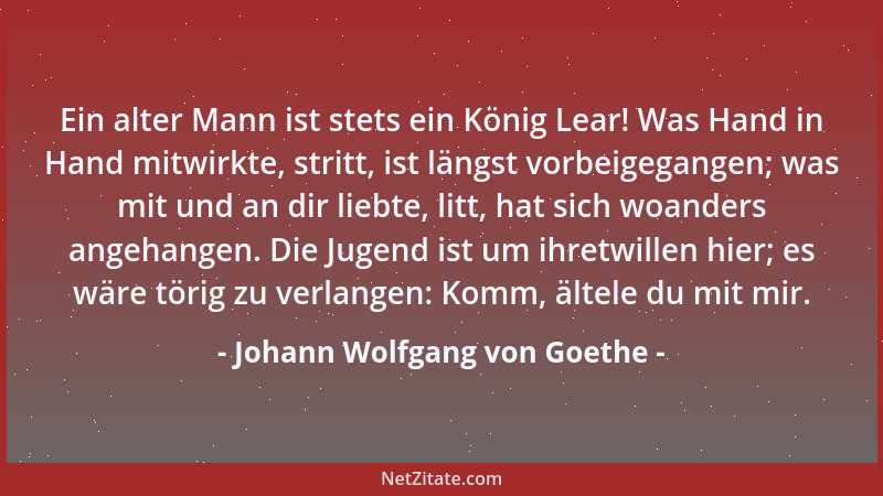 Johann Wolfgang von Goethe - Was der Künstler nicht geliebt hat, nicht liebt, soll er nicht schildern, kann er nicht schild...