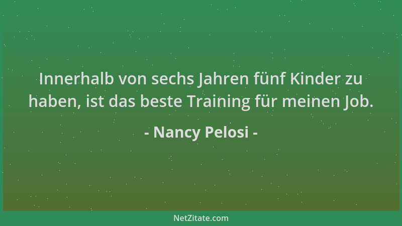 Nancy Pelosi - Innerhalb von sechs Jahren fünf Kinder zu haben, ist das beste Training für meinen Job....