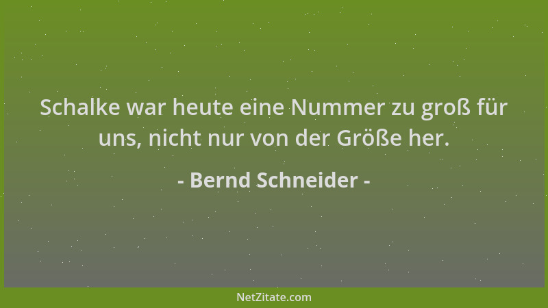 Bernd Schneider - Schalke war heute eine Nummer zu groß für uns, nicht nur von der Größe her....