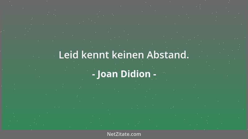 Joan Didion - Leid kennt keinen Abstand....