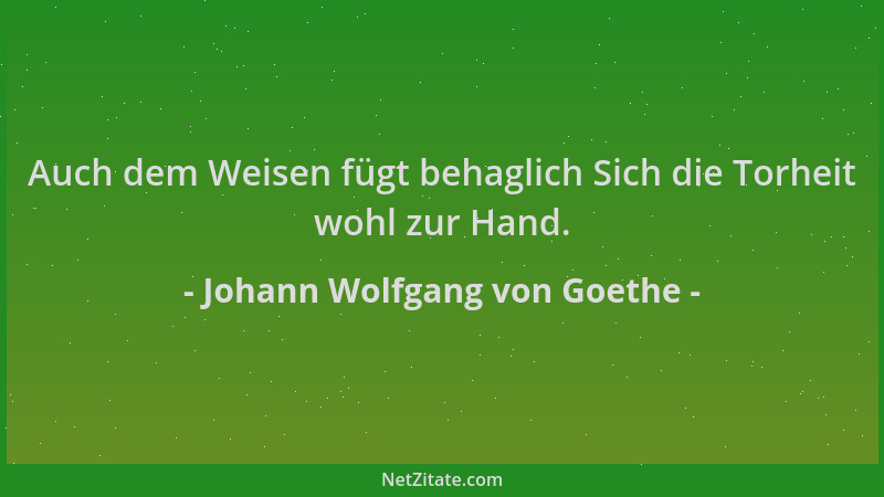 Johann Wolfgang von Goethe - Auch dem Weisen fügt behaglich Sich die Torheit wohl zur Hand....