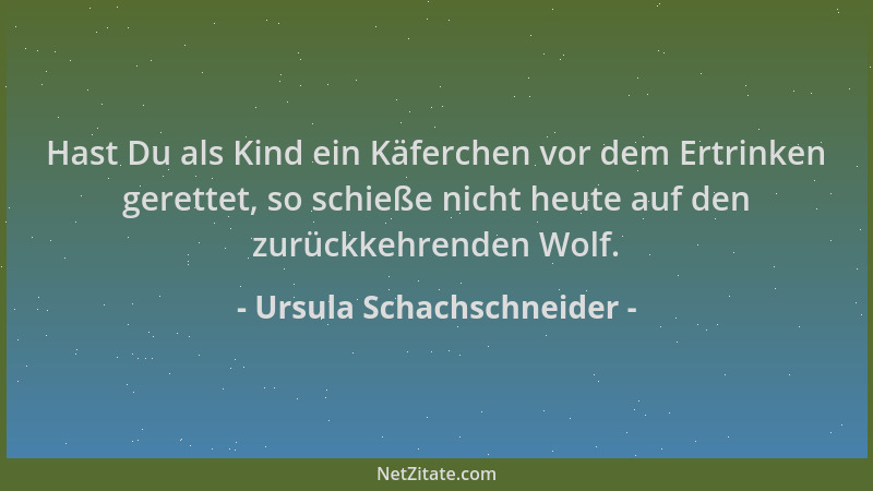 Ursula Schachschneider - Hast Du als Kind ein Käferchen vor dem Ertrinken gerettet, so schieße nicht heute auf den zurückke...