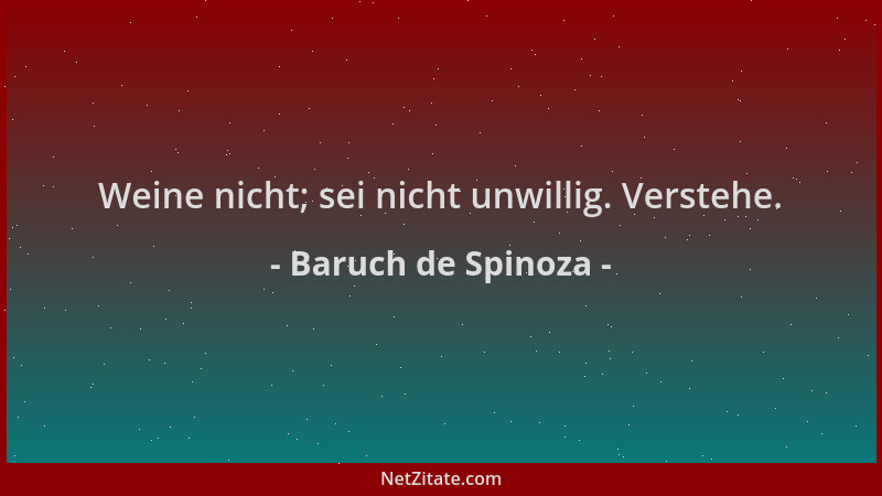 Baruch de Spinoza - Weine nicht; sei nicht unwillig. Verstehe....