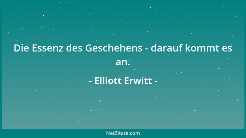 Elliott Erwitt - Die Essenz des Geschehens - darauf kommt es an....