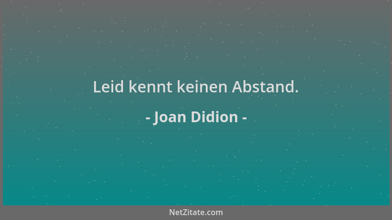 Joan Didion - Leid kennt keinen Abstand....