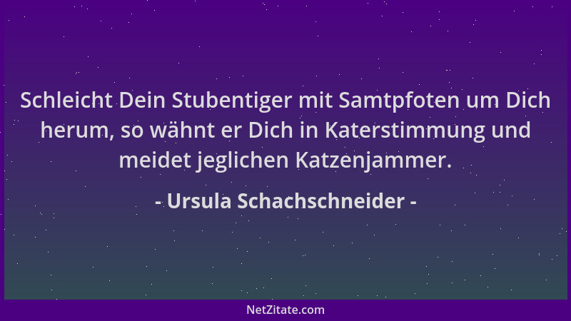 Ursula Schachschneider - Schleicht Dein Stubentiger mit Samtpfoten um Dich herum, so wähnt er Dich in Katerstimmung und mei...