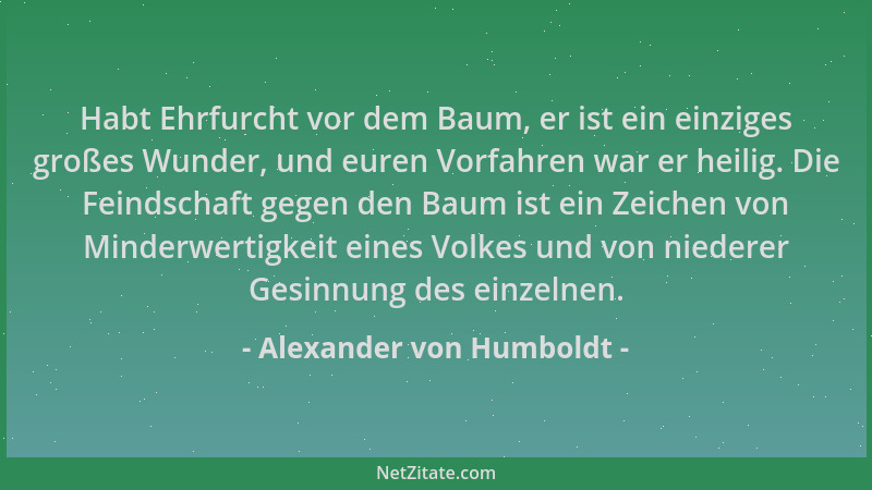 Alexander von Humboldt - Habt Ehrfurcht vor dem Baum, er ist ein einziges großes Wunder, und euren Vorfahren war er heilig....