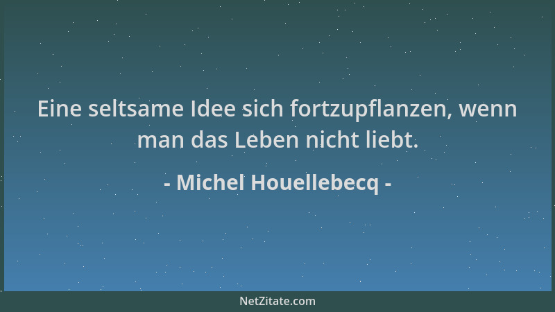 Michel Houellebecq - Eine seltsame Idee sich fortzupflanzen, wenn man das Leben nicht liebt....