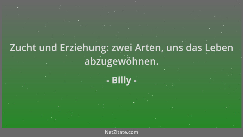 Billy - Zucht und Erziehung: zwei Arten, uns das Leben abzugewöhnen....