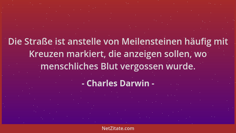 Charles Darwin - Die Straße ist anstelle von Meilensteinen häufig mit Kreuzen markiert, die anzeigen sollen, wo menschliche...