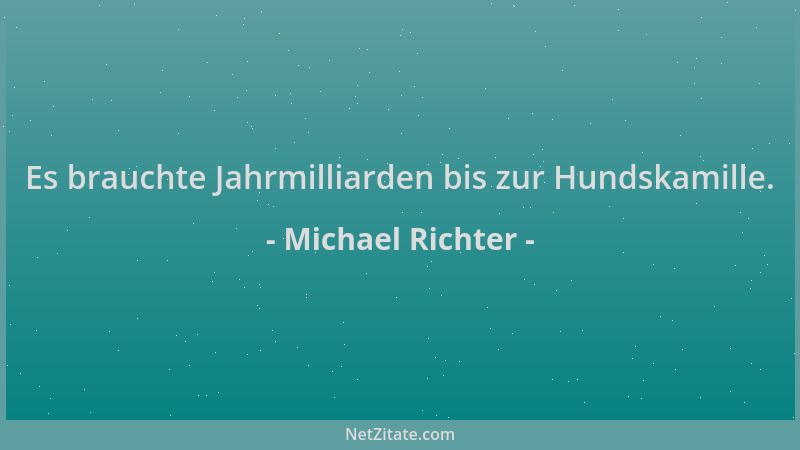 Michael Richter - Es brauchte Jahrmilliarden bis zur Hundskamille....