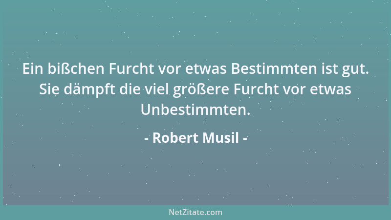 Robert Musil - Ein bißchen Furcht vor etwas Bestimmten ist gut. Sie dämpft die viel größere Furcht vor etwas Unbestimmten....