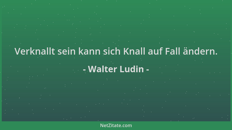 Walter Ludin - Verknallt sein kann sich Knall auf Fall ändern....