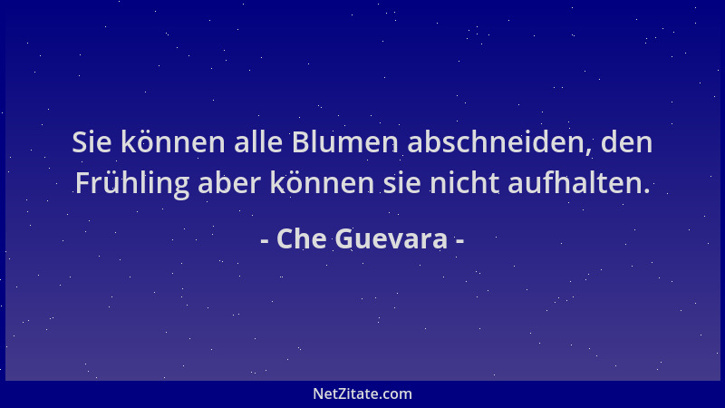Che Guevara - Sie können alle Blumen abschneiden, den Frühling aber können sie nicht aufhalten....