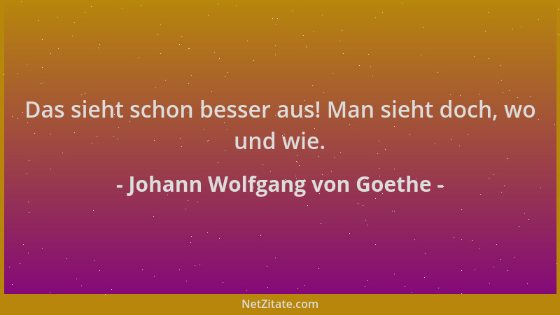 Johann Wolfgang von Goethe - Das sieht schon besser aus! Man sieht doch, wo und wie....