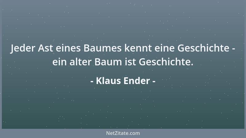 Klaus Ender - Jeder Ast eines Baumes kennt eine Geschichte - ein alter Baum ist Geschichte....