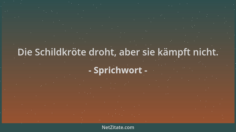 Sprichwort - Die Schildkröte droht, aber sie kämpft nicht....