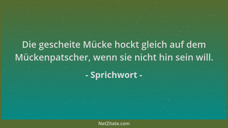 Sprichwort - Die gescheite Mücke hockt gleich auf dem Mückenpatscher, wenn sie nicht hin sein will....
