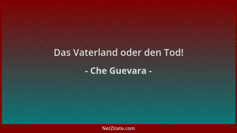 Che Guevara - Das Vaterland oder den Tod!...