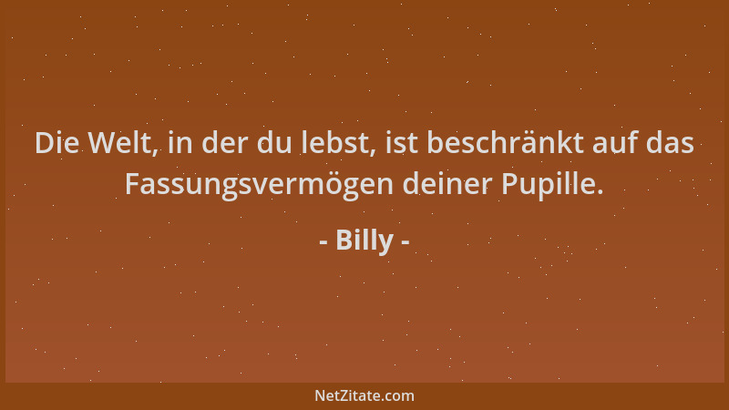Billy - Die Welt, in der du lebst, ist beschränkt auf das Fassungsvermögen deiner Pupille....