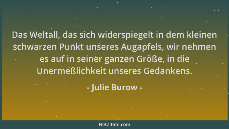 Julie Burow - Das Weltall, das sich widerspiegelt in dem kleinen schwarzen Punkt unseres Augapfels, wir nehmen es auf in se...