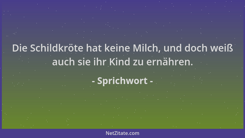 Sprichwort - Die Schildkröte hat keine Milch, und doch weiß auch sie ihr Kind zu ernähren....