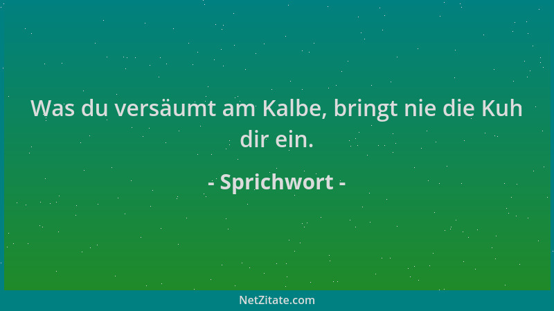 Sprichwort - Was du versäumt am Kalbe, bringt nie die Kuh dir ein....