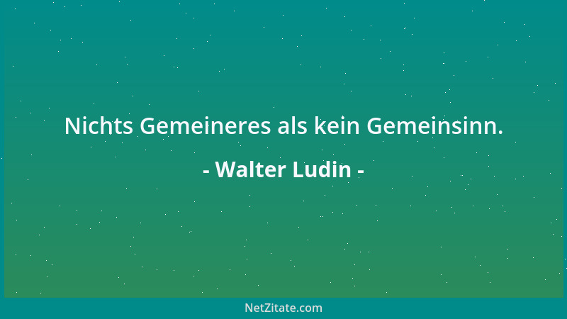 Walter Ludin - Nichts Gemeineres als kein Gemeinsinn....