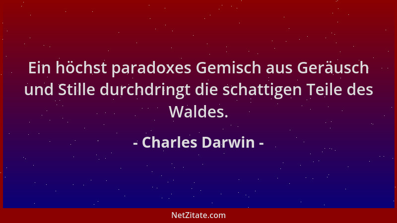 Charles Darwin - Ein höchst paradoxes Gemisch aus Geräusch und Stille durchdringt die schattigen Teile des Waldes....