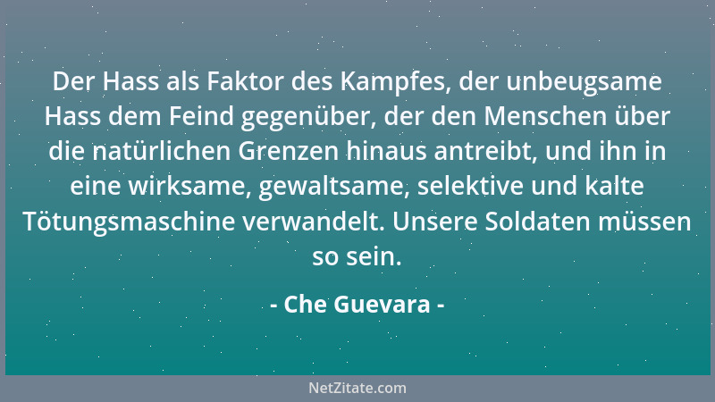 Che Guevara - Solidarität ist die Zärtlichkeit der Völker....