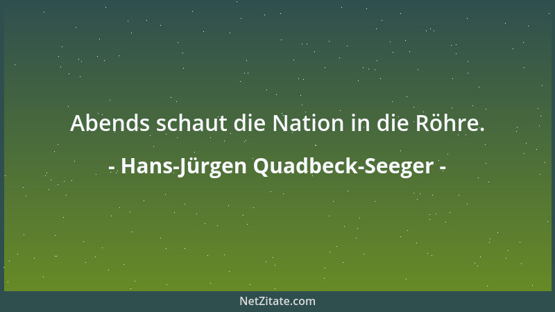 Hans-Jürgen Quadbeck-Seeger - Abends schaut die Nation in die Röhre....