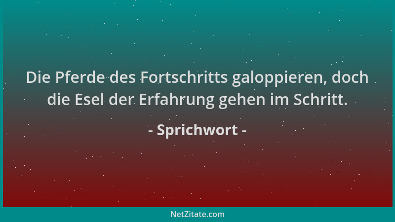 Sprichwort - Die Pferde des Fortschritts galoppieren, doch die Esel der Erfahrung gehen im Schritt....