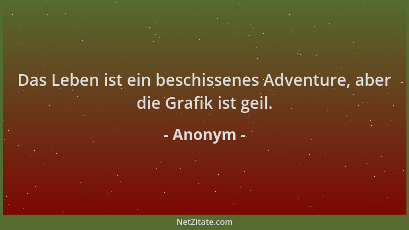 Anonym - Das Leben ist ein beschissenes Adventure, aber die Grafik ist geil....