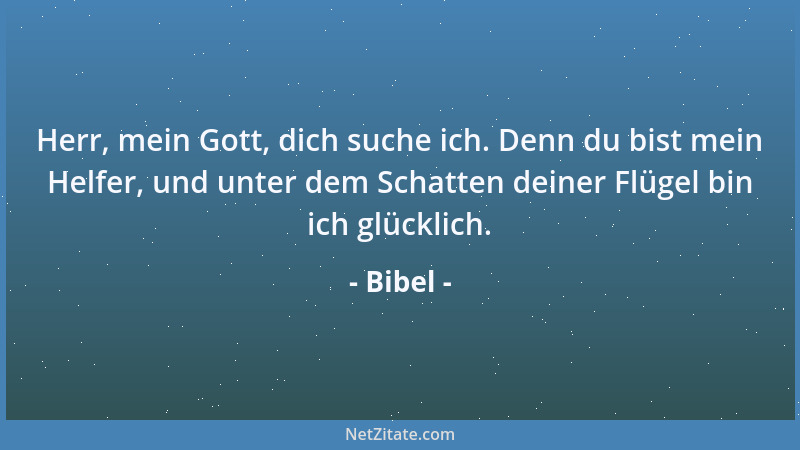 Bibel - Herr, mein Gott, dich suche ich. Denn du bist mein Helfer, und unter dem Schatten deiner Flügel bin ich glücklich....