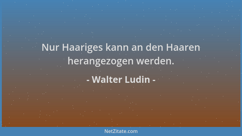 Walter Ludin - Nur Haariges kann an den Haaren herangezogen werden....