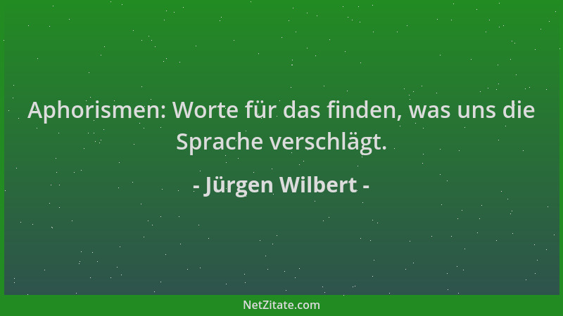 Jürgen Wilbert - Aphorismen: Worte für das finden, was uns die Sprache verschlägt....
