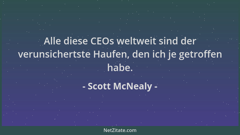 Scott McNealy - Alle diese CEOs weltweit sind der verunsichertste Haufen, den ich je getroffen habe....